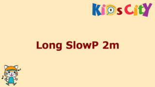 グッド・トイ紹介　Long SlowP 2m