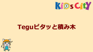 グッド・トイ紹介　Teguピタッと積み木