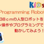 Programming Robot
