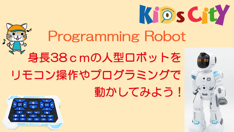 Programming Robot