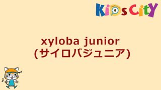 xyloba junior (サイロバジュニア)