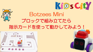 Botzees Mini